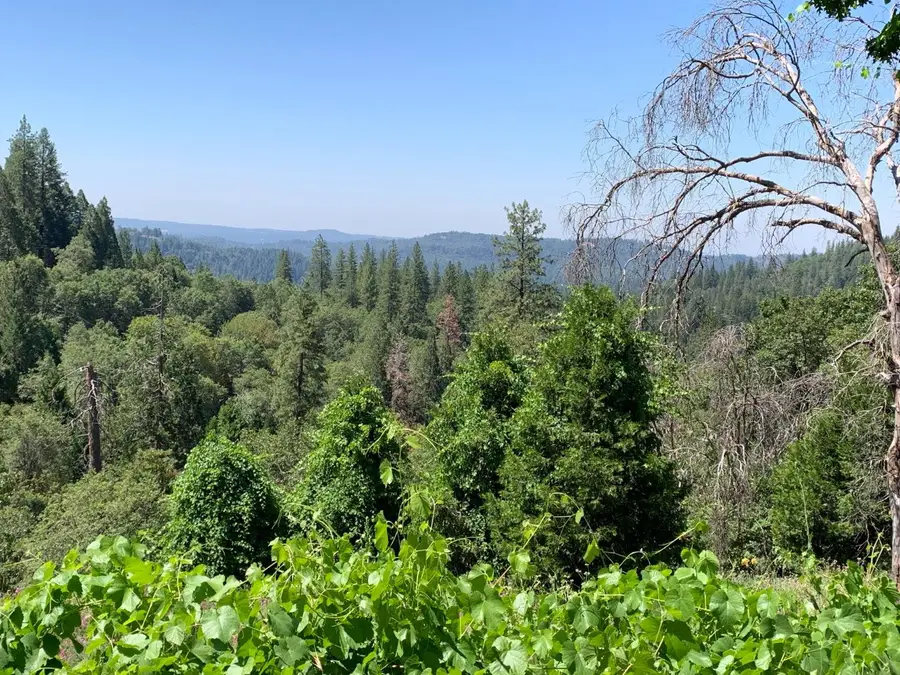 10 Meyers Road, Camino, CA 95709 - #3