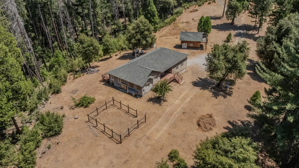 21641 Allan Road, Volcano, CA 95689 - #1