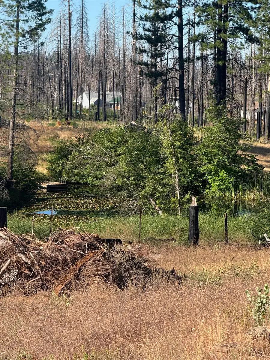 4491 String Canyon Road, Grizzly Flats, CA 95636 - #3