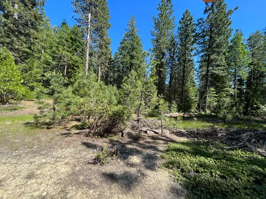 2761 Quincy La Porte Road, Strawberry Valley, CA 95981 - #2