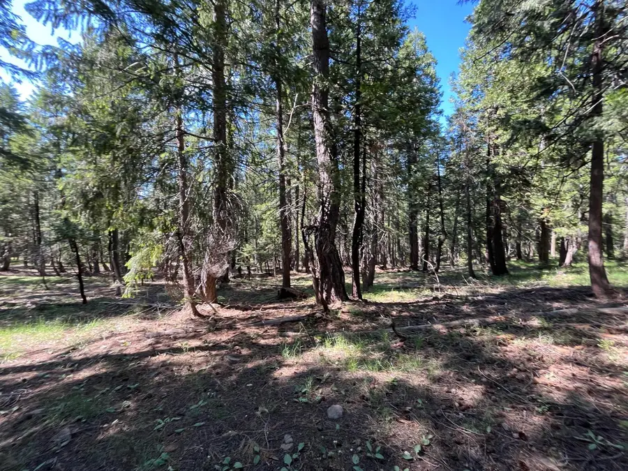 2761 Quincy La Porte Road, Strawberry Valley, CA 95981 - #3