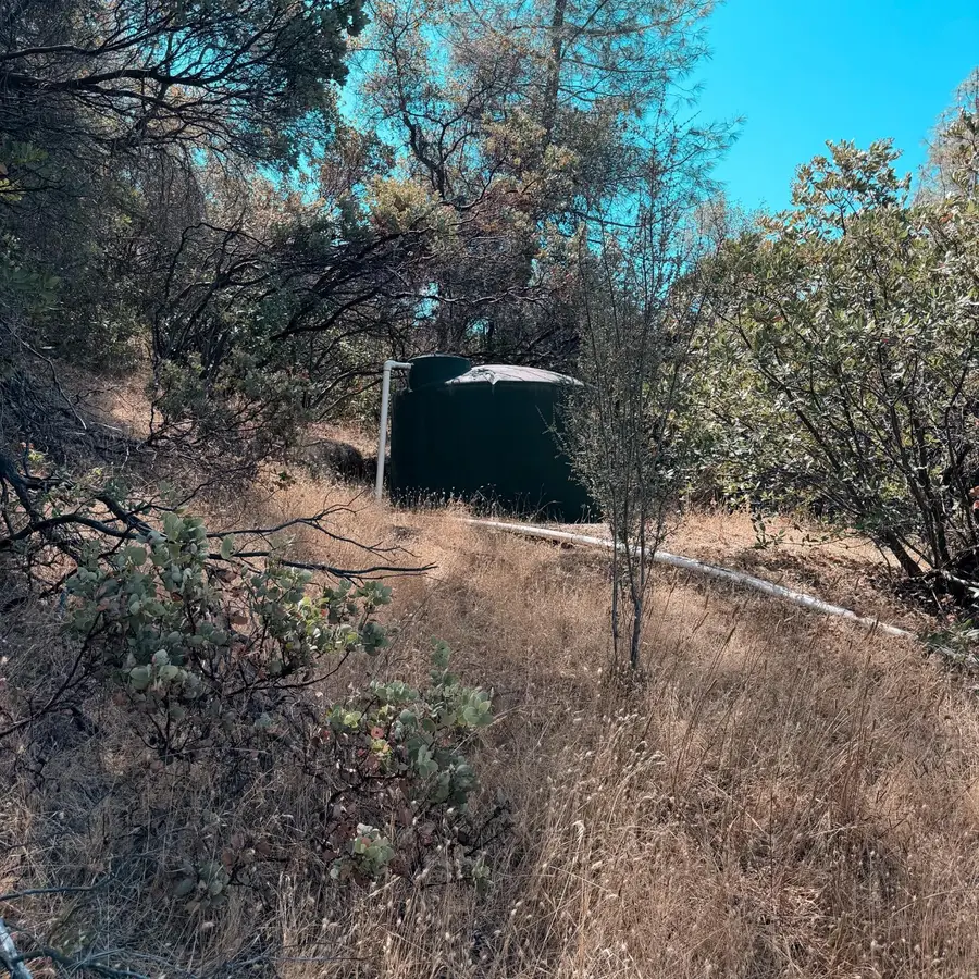 16115 Vierra Road, Rackerby, CA 95972 - #3
