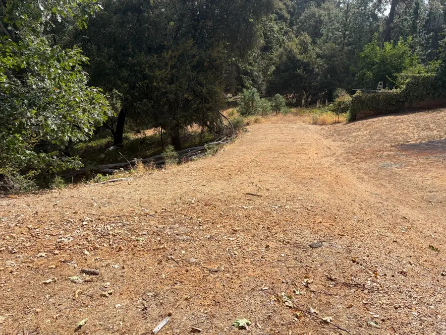 24800 N Canyon Way, Colfax, CA 95713 - #3