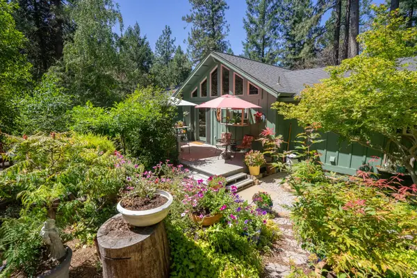 26035 Meadow Drive, Pioneer, CA 95666