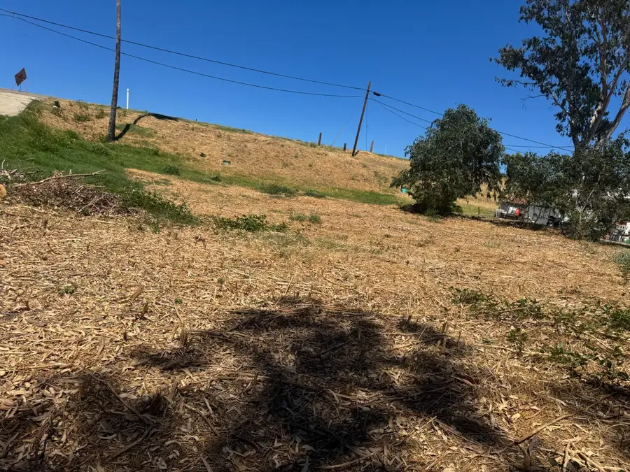 301 Brannan Island Road, Isleton, CA 95641 - #3