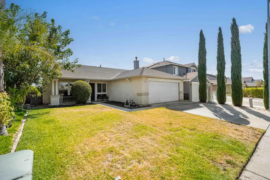 214 Shadywood Avenue, Lathrop, CA 95330 - #3