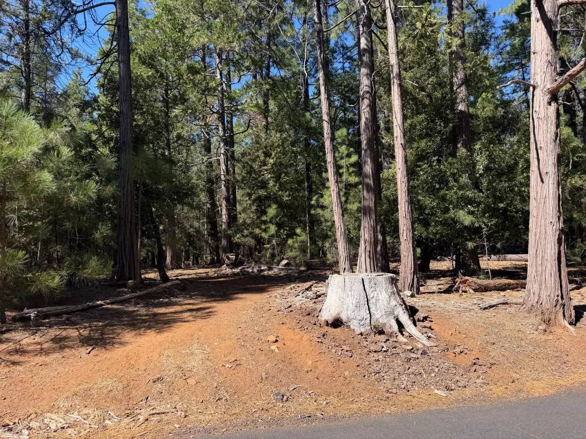 19470 Creek Drive, Pioneer, CA 95666 - #1