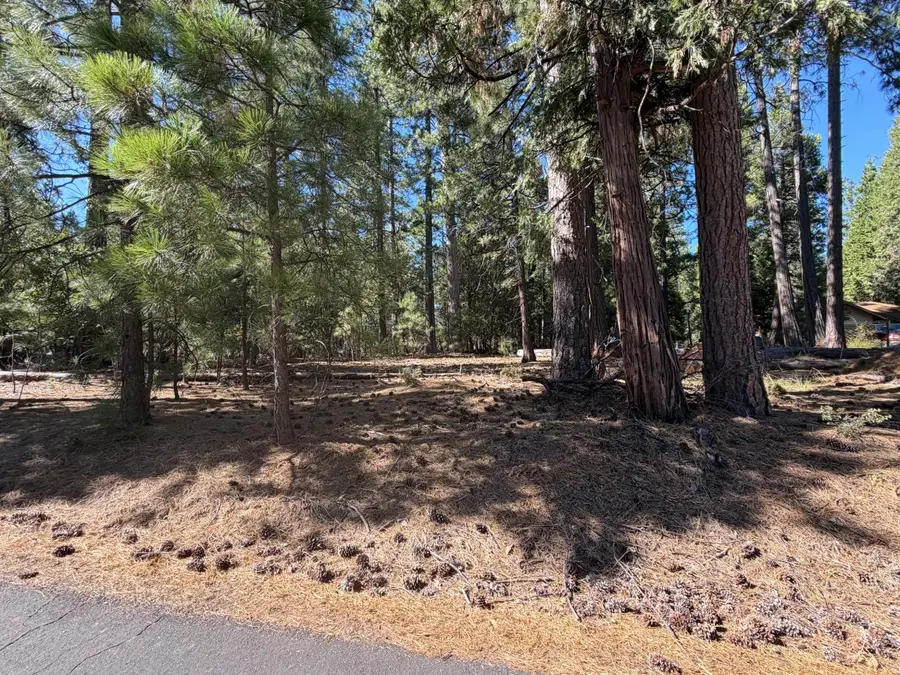 19470 Creek Drive, Pioneer, CA 95666 - #3