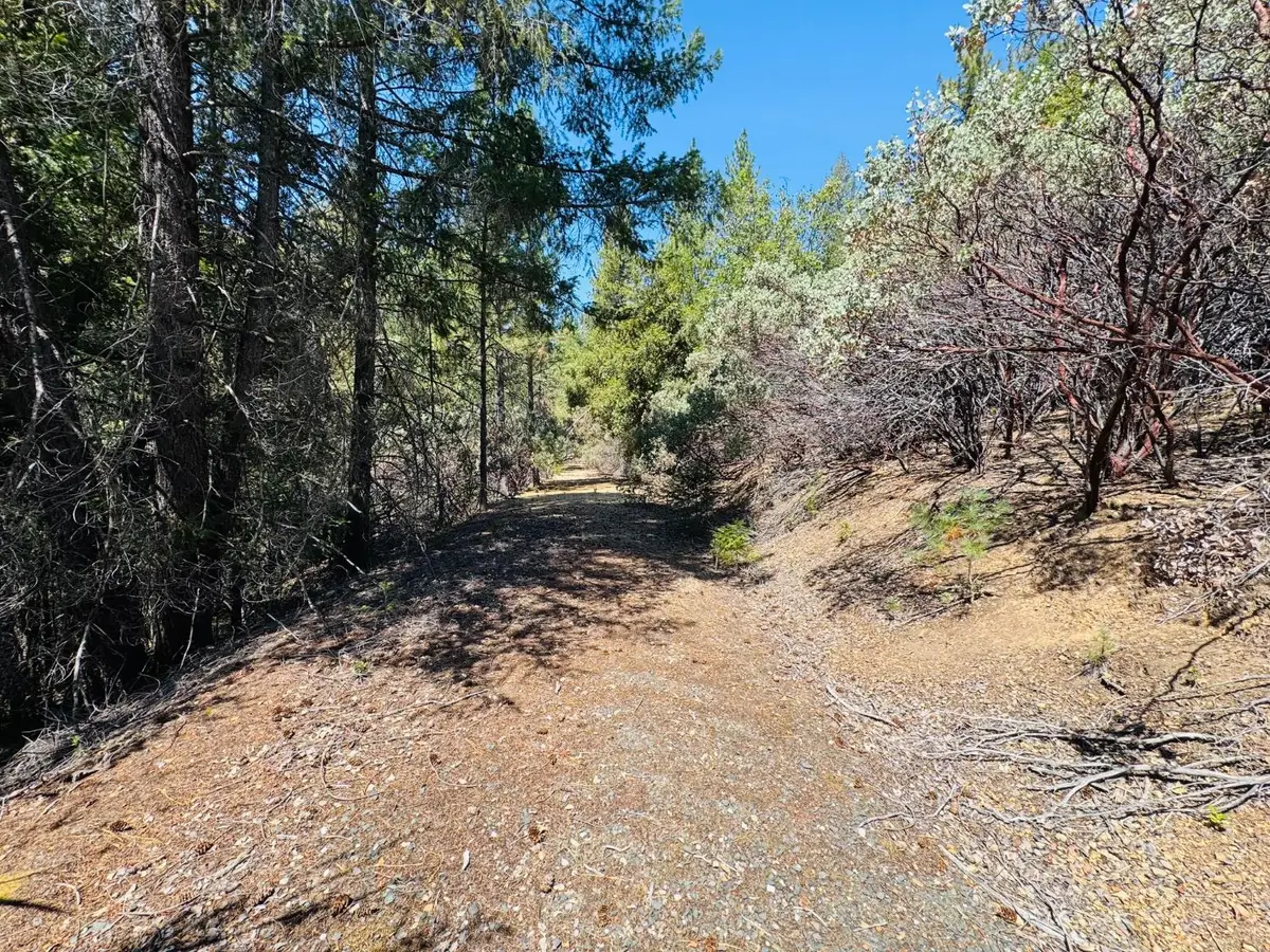22588 Canyon Way, Colfax, CA 95713 - #1
