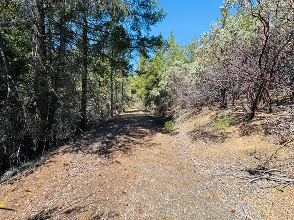 22588 Canyon Way, Colfax, CA 95713