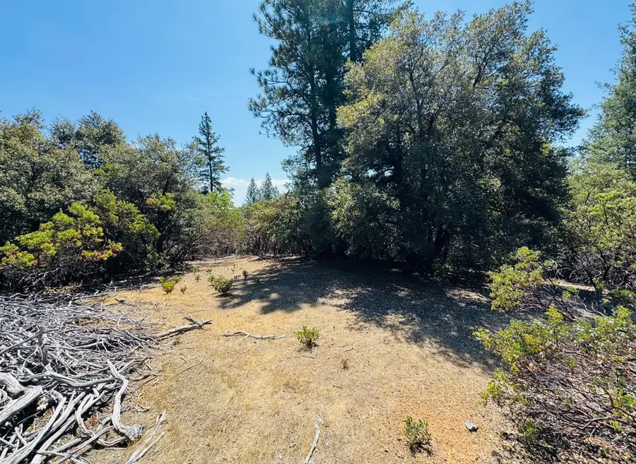 22588 Canyon Way, Colfax, CA 95713 - #2