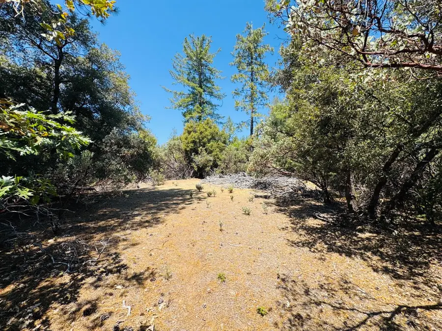 22588 Canyon Way, Colfax, CA 95713 - #3