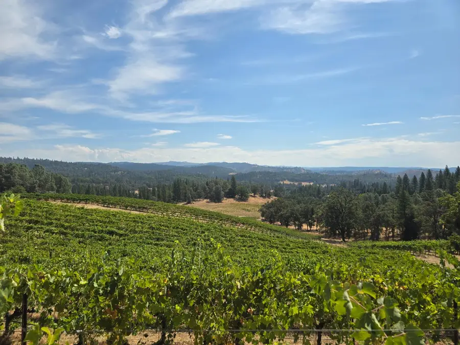 4180 Pleasant Valley Road, Placerville, CA 95667 - #2