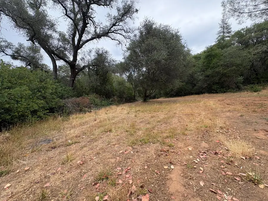 16079 Vierra Road, Bangor, CA 95914 - #2