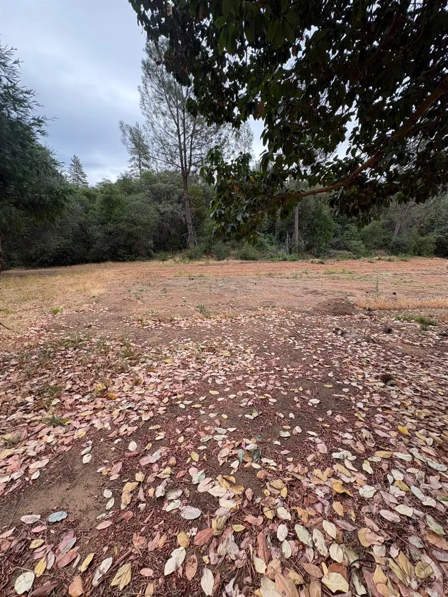 16079 Vierra Road, Bangor, CA 95914 - #3