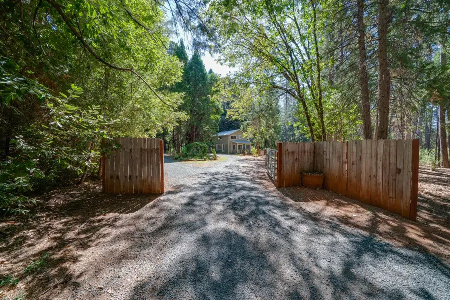 18249 Challenge Cut Off Road, Forbestown, CA 95941 - #2