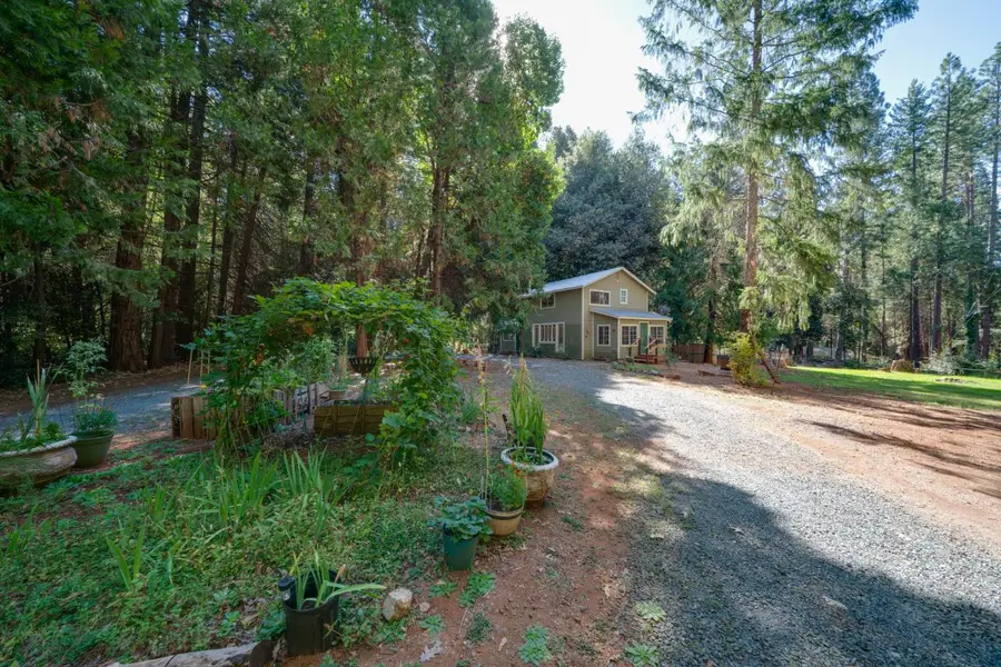 18249 Challenge Cut Off Road, Forbestown, CA 95941 - #3