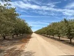 11611 S Union Road, Manteca, CA 95336