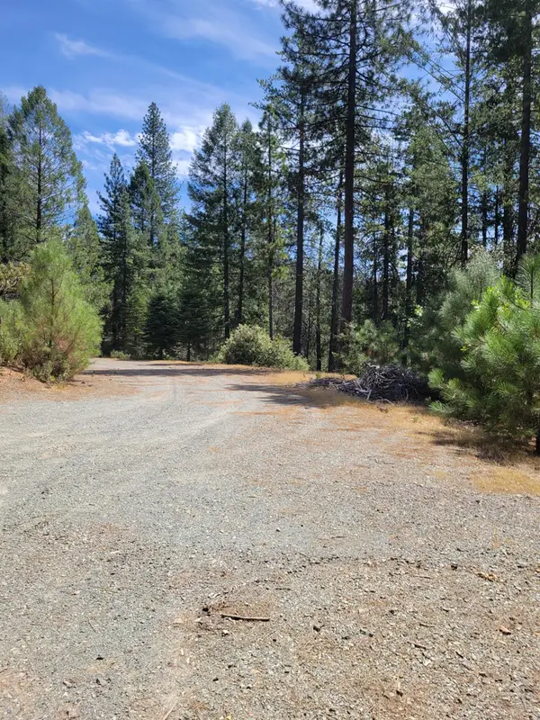 2678 Christmas Tree Lane, Georgetown, CA 95634