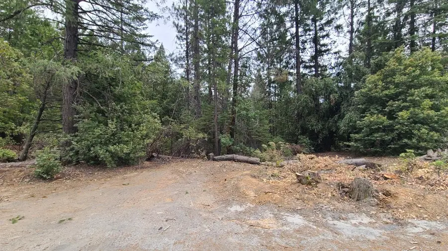 2678 Christmas Tree Lane, Georgetown, CA 95634 - #2