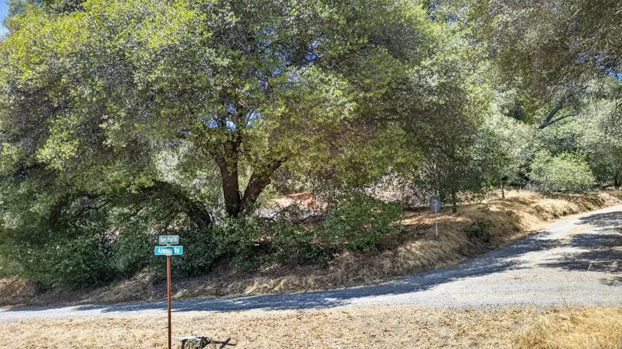 2 Berry Pond Road, Placerville, CA 95667 - #3
