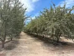 2301 Coelho Road, Manteca, CA 95336