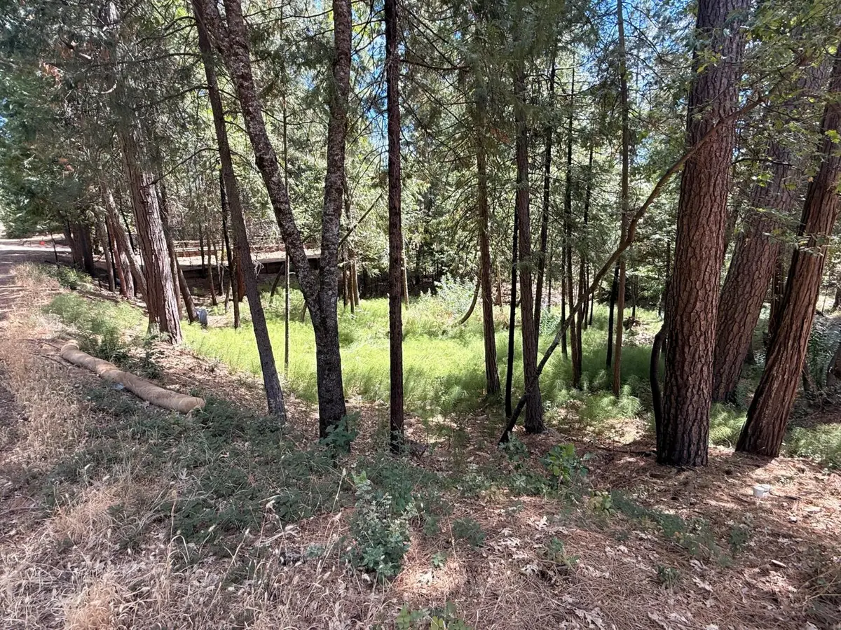 558 Roan Way, Avery, CA 95224 - #1