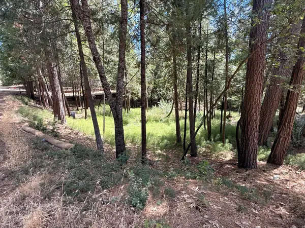 558 Roan Way, Avery, CA 95224
