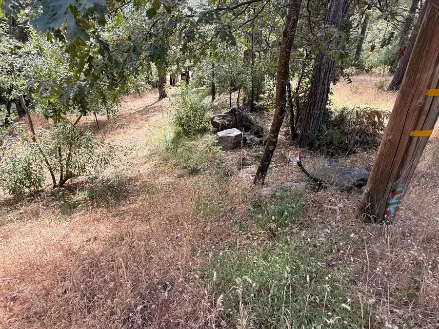 558 Roan Way, Avery, CA 95224 - #2