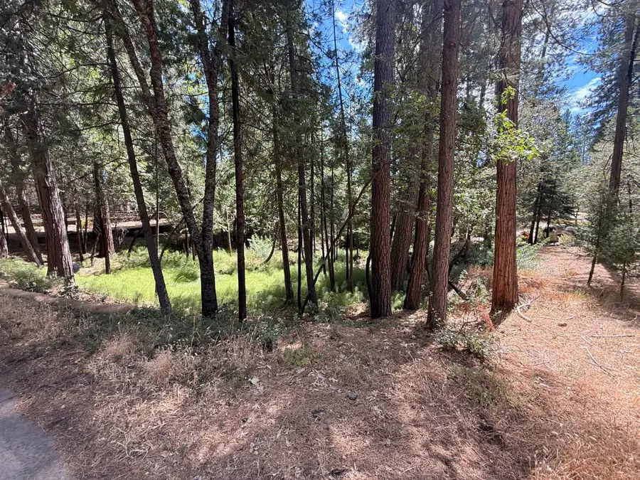 558 Roan Way, Avery, CA 95224 - #3