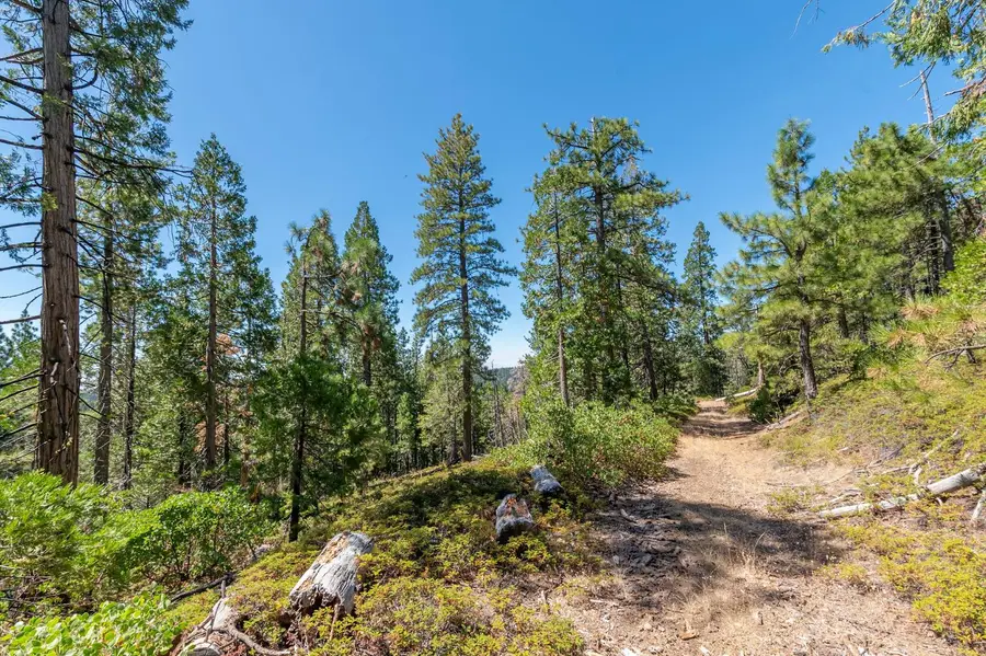 0 Armstrong Grade - Hwy 88, Somerset, CA 95684 - #2