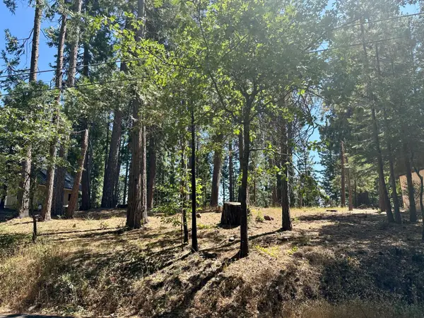 2659 Valley View Drive, Arnold, CA 95223