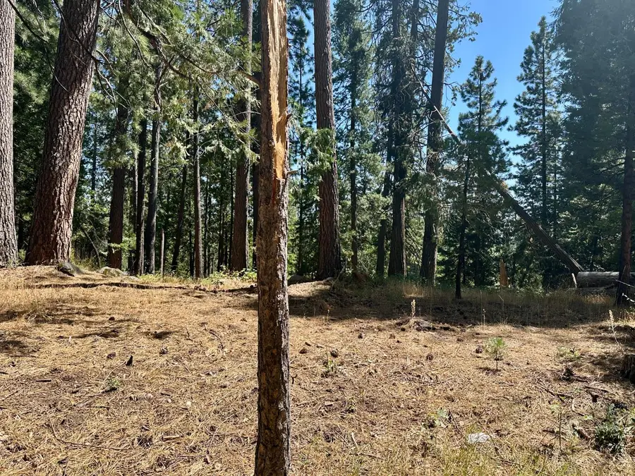2659 Valley View Drive, Arnold, CA 95223 - #2