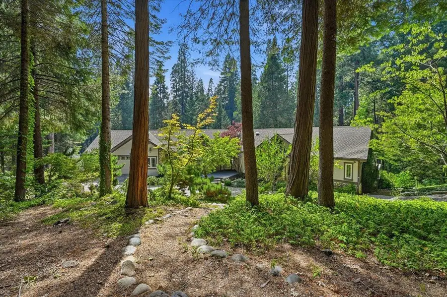 10433 Park Avenue Ext, Nevada City, CA 95959 - #3