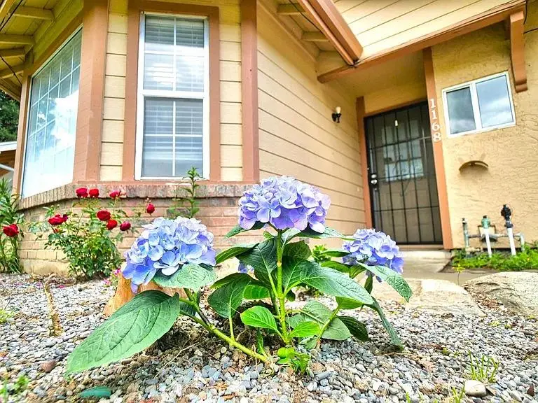 1168 Pebblewood Drive, Sacramento, CA 95833 - #2