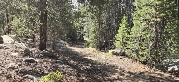 21031 Donner Pass Road, Soda Springs, CA 95728
