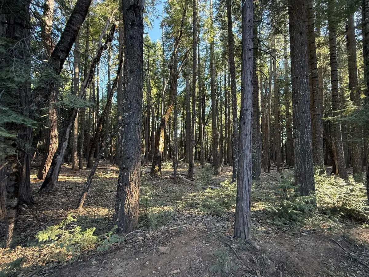 0 Chalk Bluff, Nevada City, CA 95959 - #1