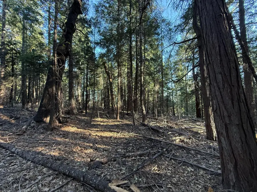 0 Chalk Bluff, Nevada City, CA 95959 - #3