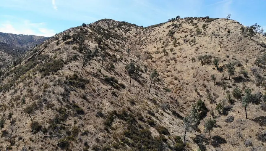 0 I-5 Highway, Newman, CA 95360 - #3