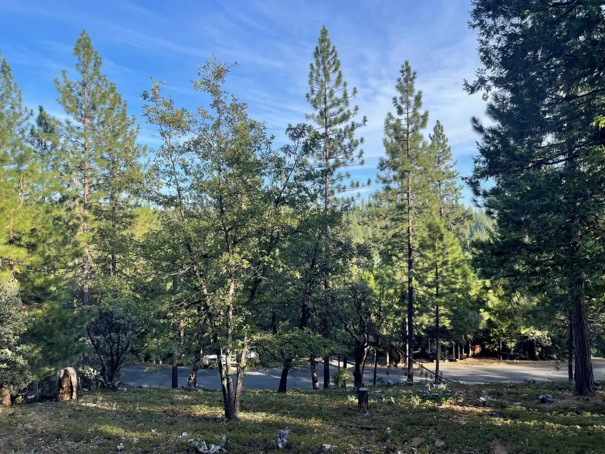 2112 Manzanita Drive, Arnold, CA 95223 - #1