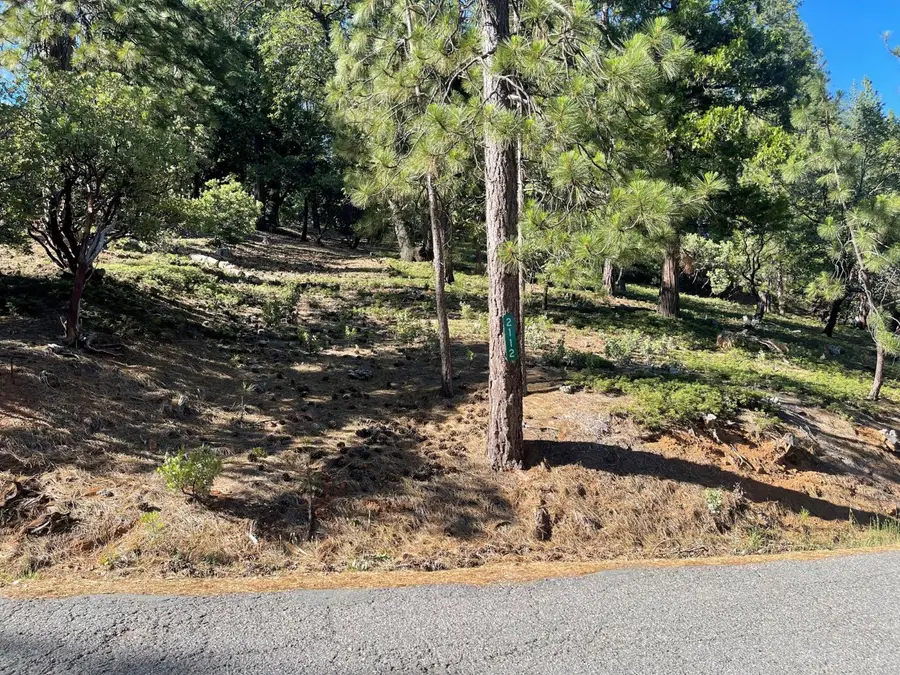 2112 Manzanita Drive, Arnold, CA 95223 - #3