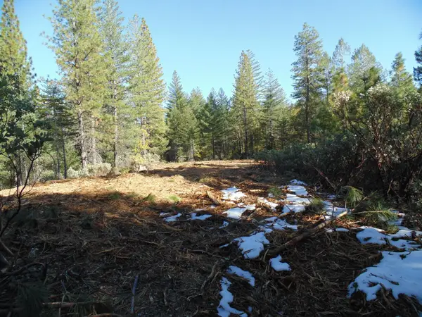 40 Ringtail Road, Georgetown, CA 95634