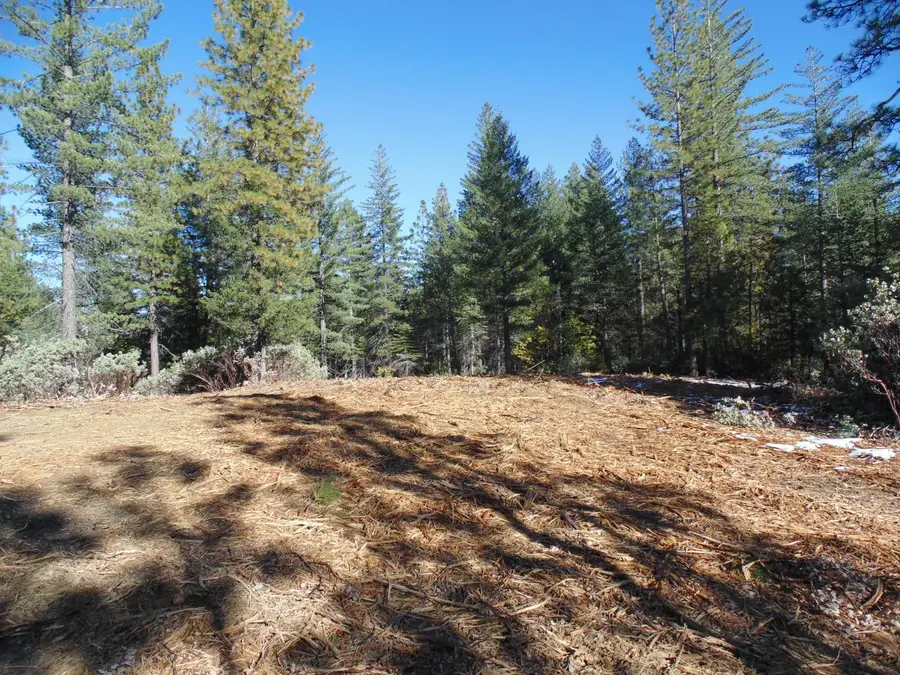 40 Ringtail Road, Georgetown, CA 95634 - #2