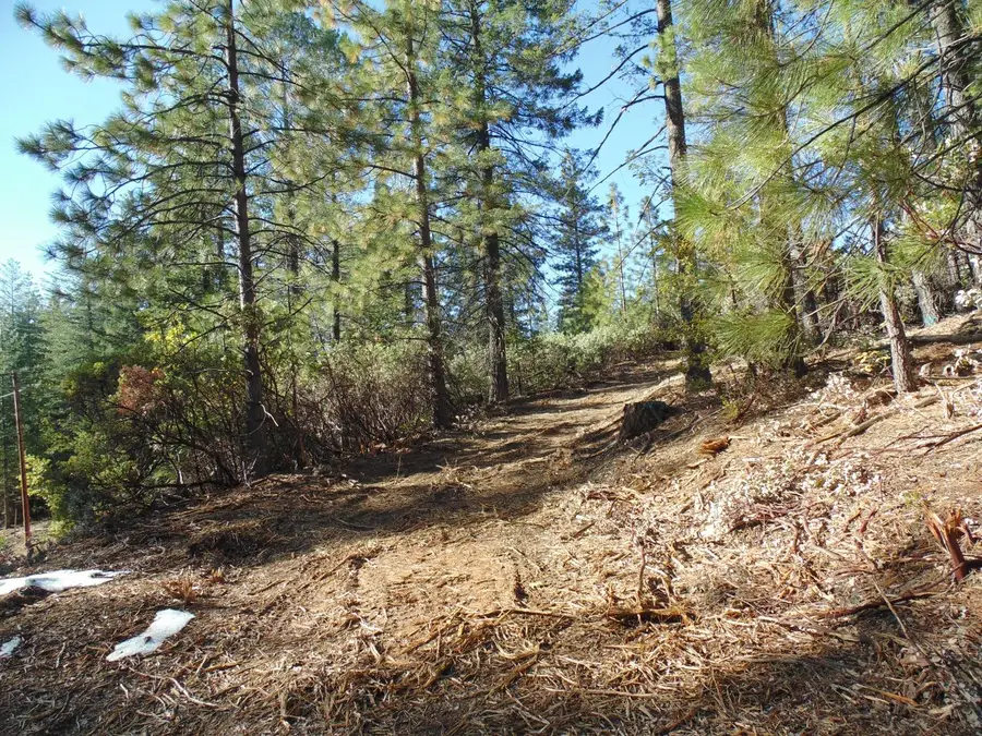 40 Ringtail Road, Georgetown, CA 95634 - #3