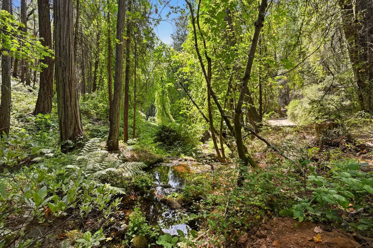 15487 Poorman Creek Road, Grass Valley, CA 95945 - #1