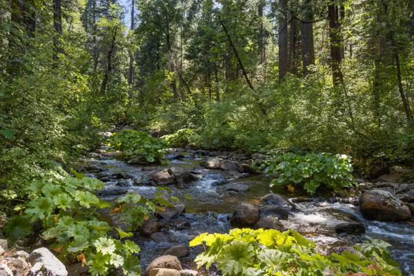 12625 Zeibright Road, Nevada City, CA 95959