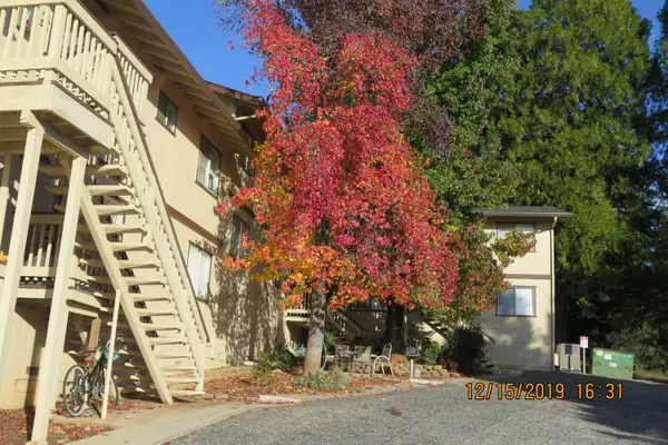 669 S Auburn Street, Grass Valley, CA 95945