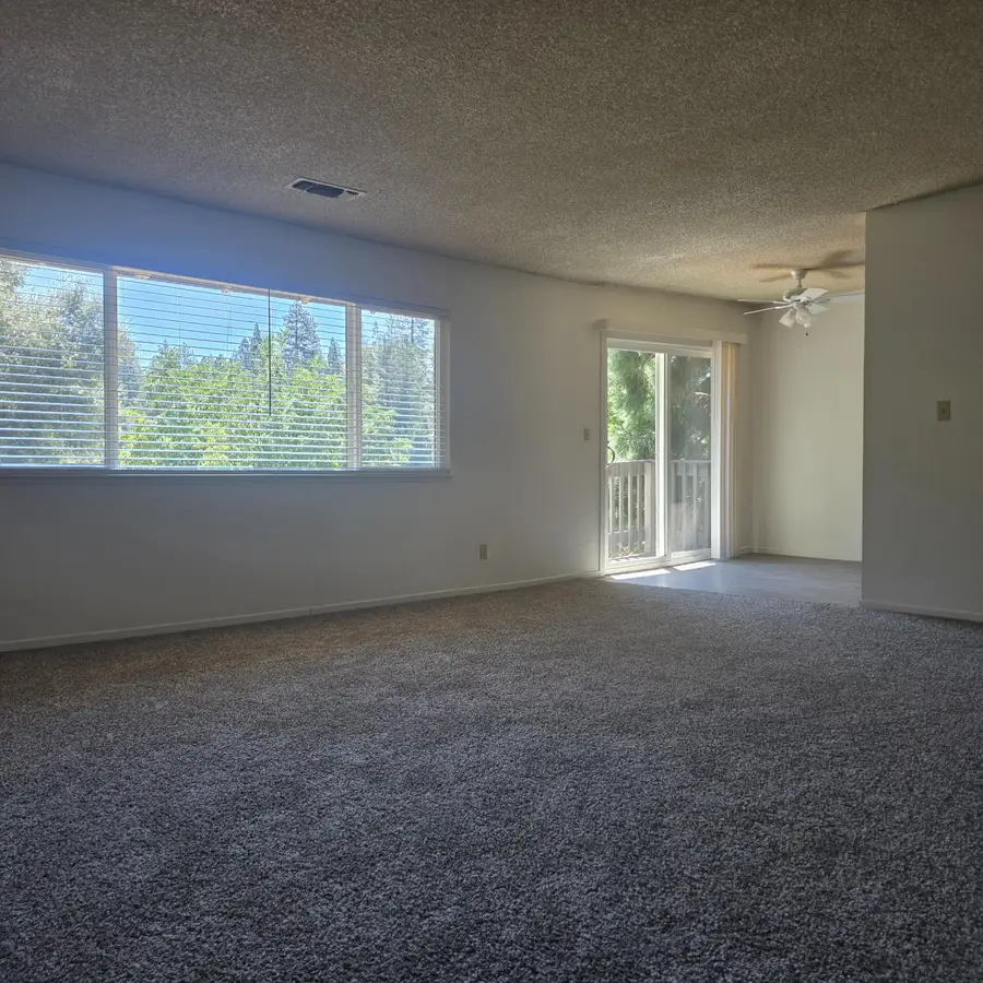 205 Washington Street, Grass Valley, CA 95945 - #3