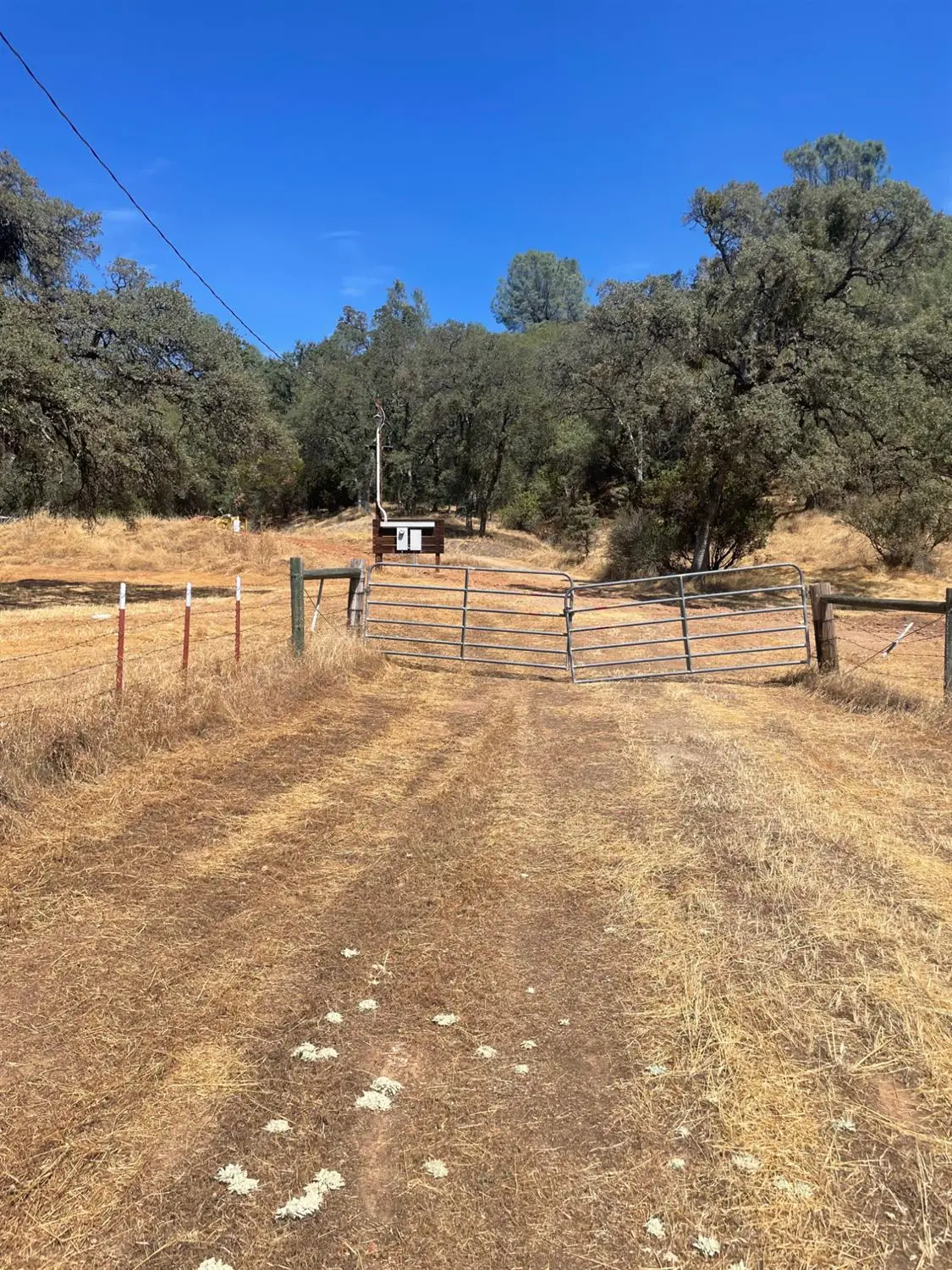 2559 Appaloosa Way, Angels Camp, CA 95222 - #1
