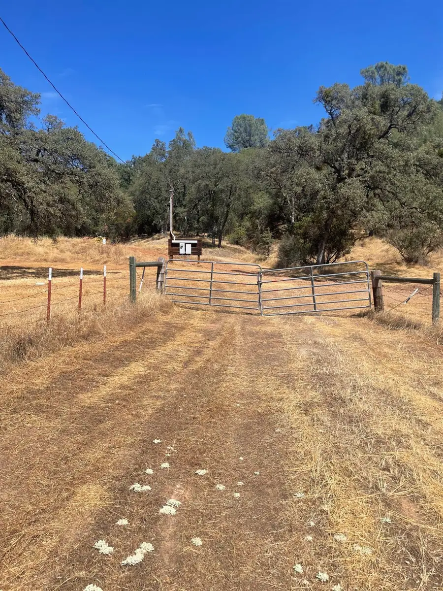 2559 Appaloosa Way, Angels Camp, CA 95222 - #2